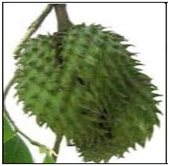 guyabano